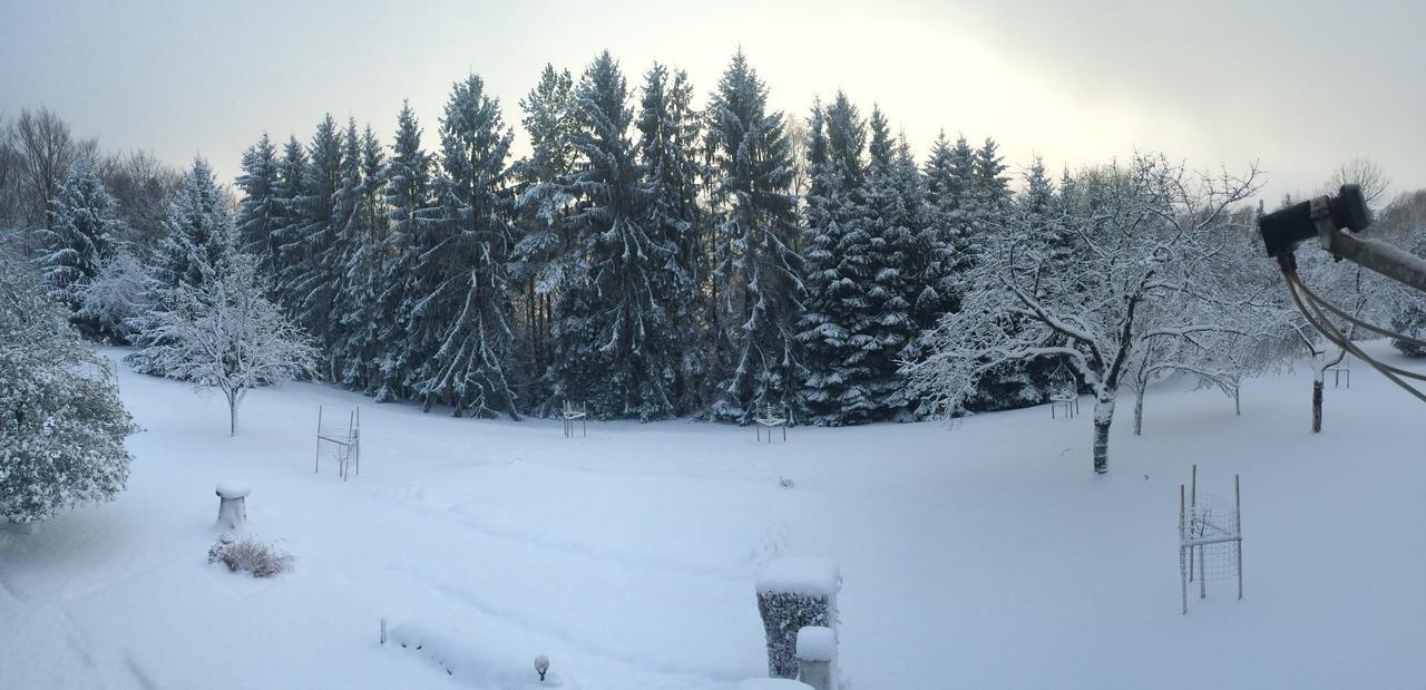 Gite Et Chambre D'Hotes La Petite Source Dabo Buitenkant foto